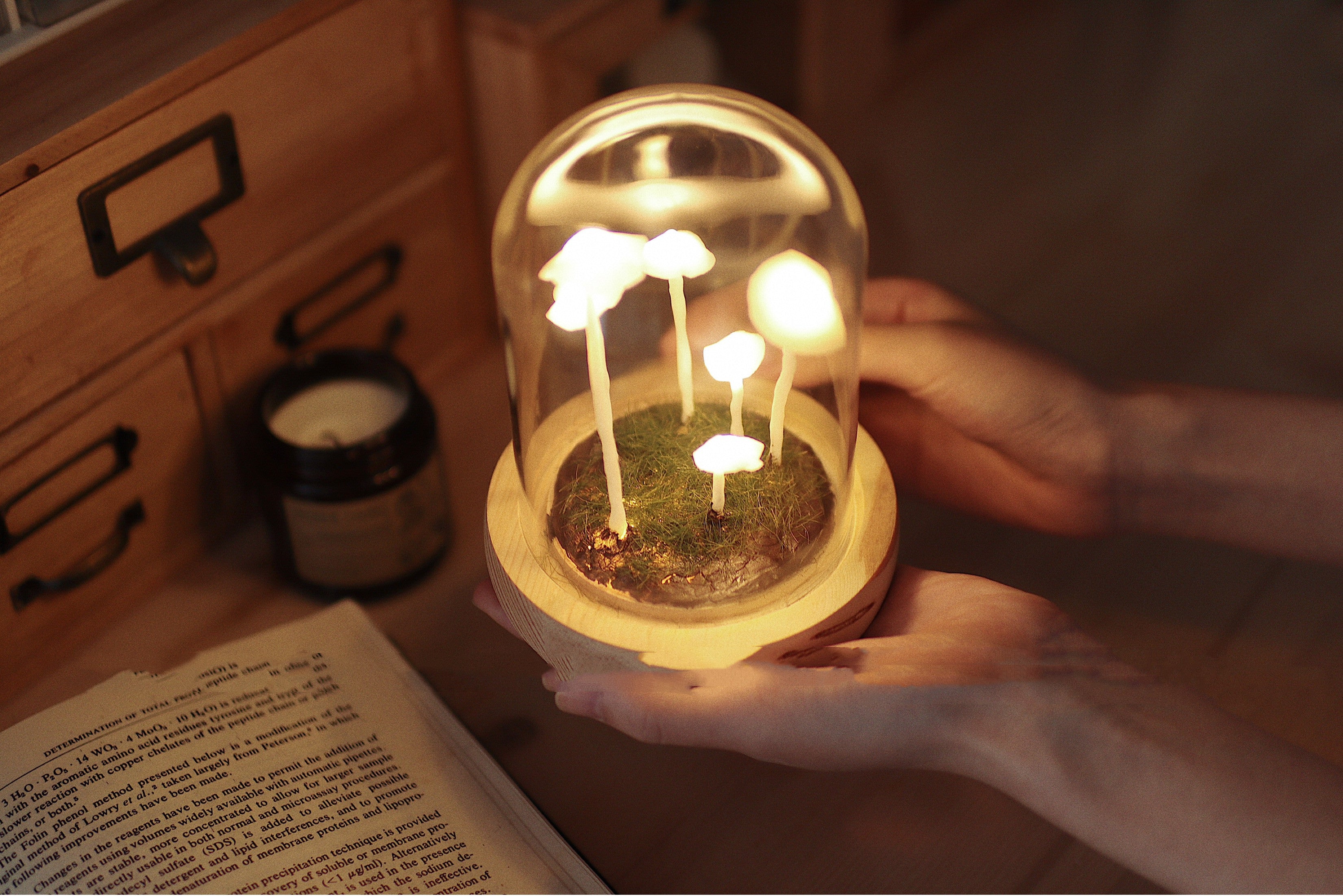 Original Cute Retro Mushroom Night Light