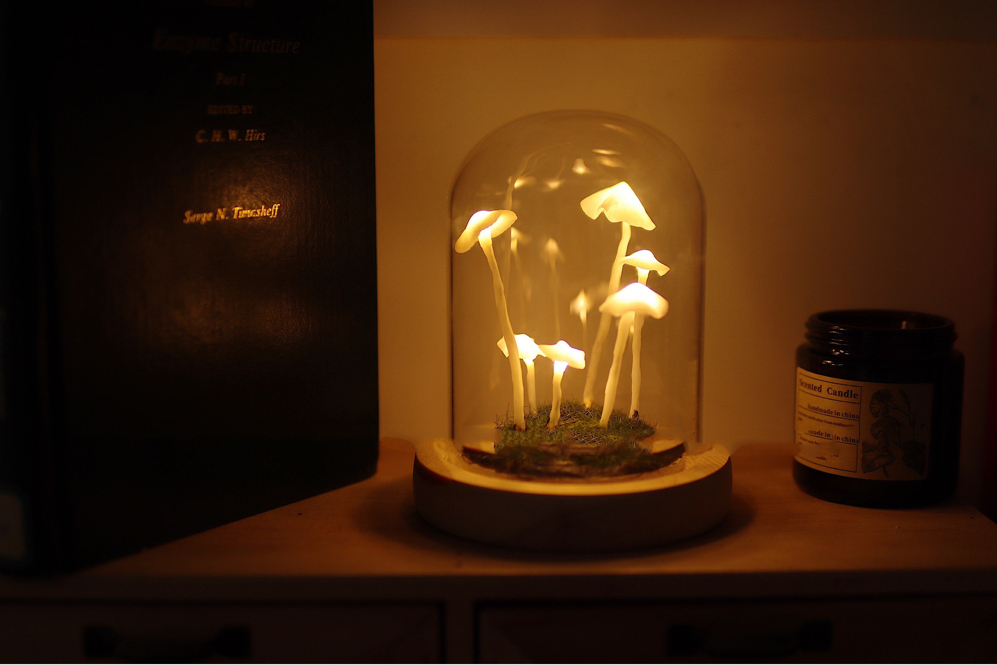 Original Cute Retro Mushroom Night Light